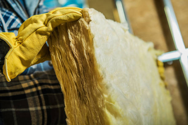 Best Residential Insulation in Shelley, ID