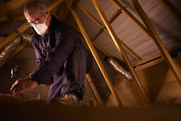 Best Insulation Maintenance and Repair in Shelley, ID